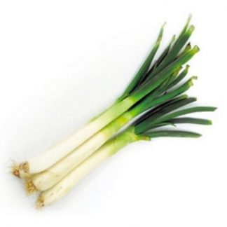Cebolla Larga