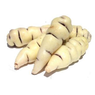 Cubios