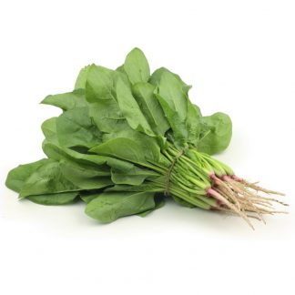 Espinaca