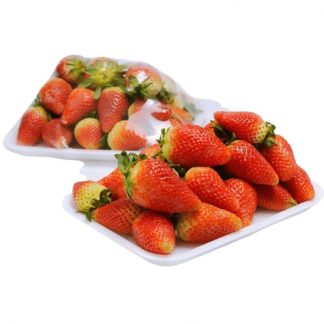 Fresa Bandeja