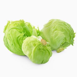 Lechuga Batavia