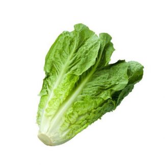 Lechuga Romana