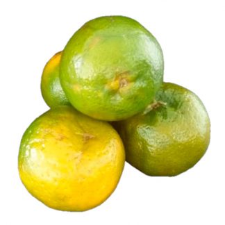 Mandarina Oneco