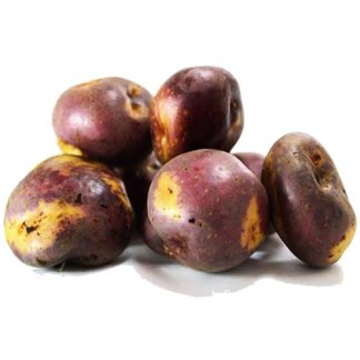 Papa Sabanera