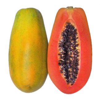 Papaya Paulina