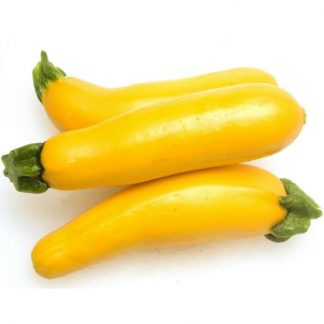 Zuquini Amarillo