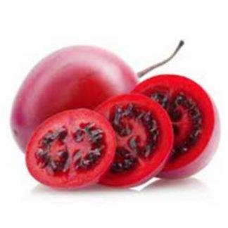 Tomate de árbol Injerto Mora