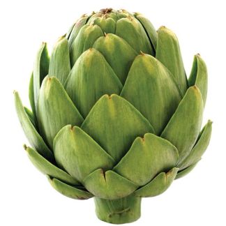 Alcachofa