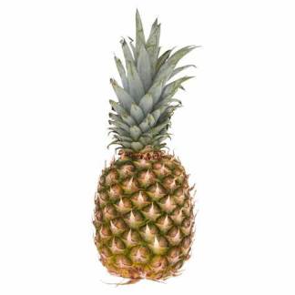 Piña Mayanes