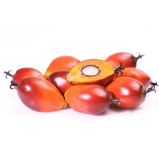 Chontaduro