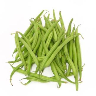 Habichuelina
