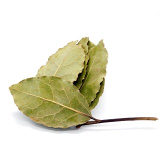 Laurel