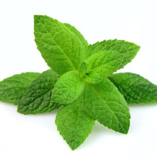 Menta