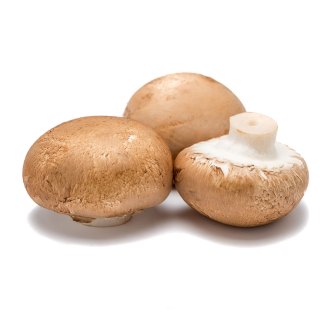 Champiñon Portobello