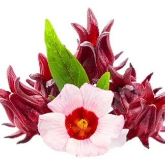 Flor de Jamaica