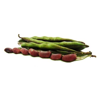 Balú
